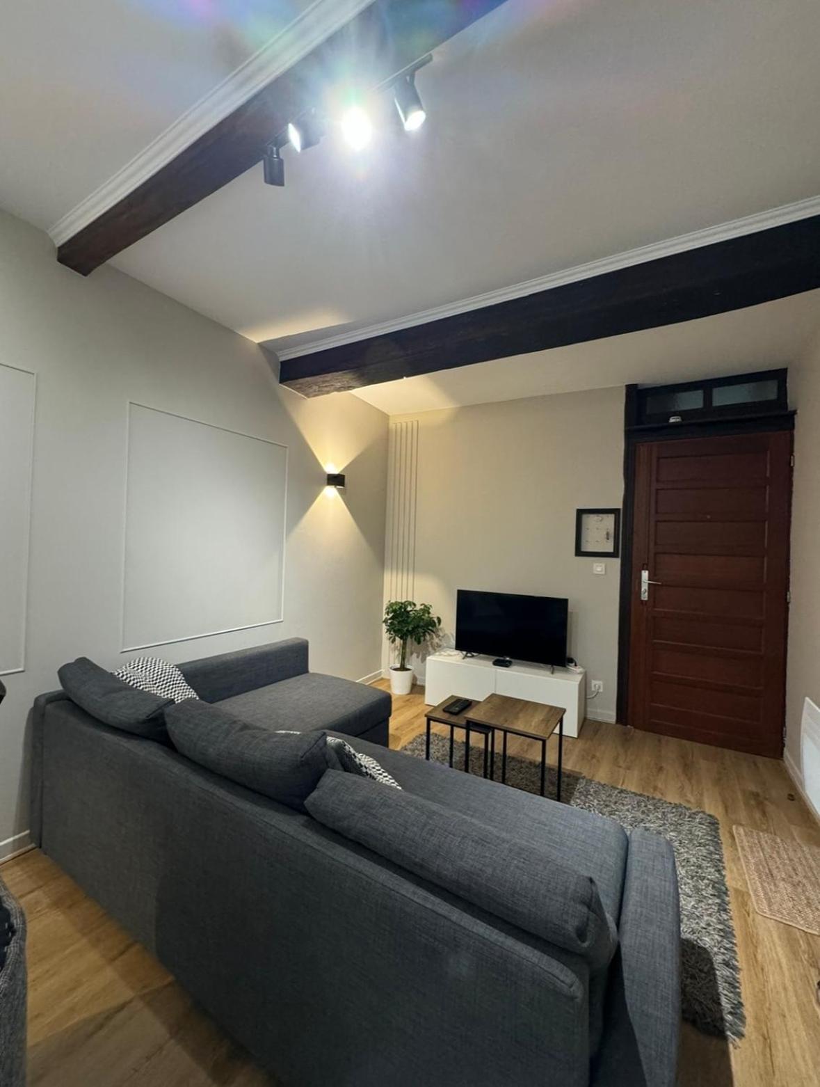 Appartement Charmant Hypercentre Avec Patio Prive Et Parking Orléans Dış mekan fotoğraf