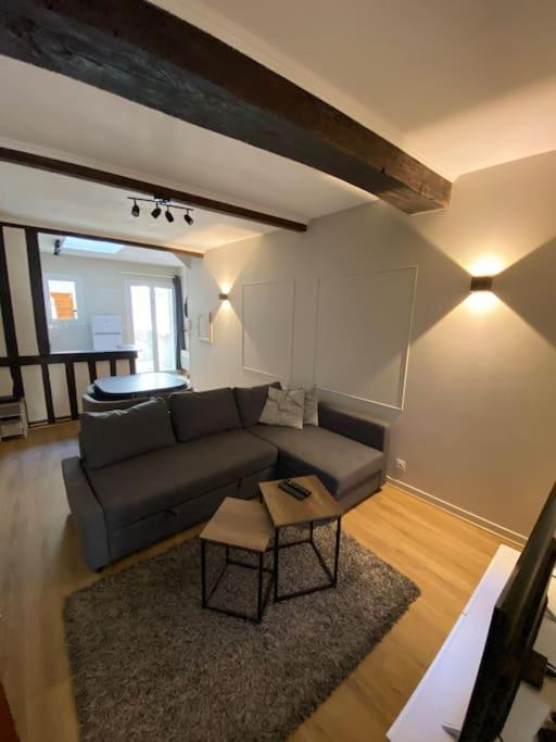 Appartement Charmant Hypercentre Avec Patio Prive Et Parking Orléans Dış mekan fotoğraf